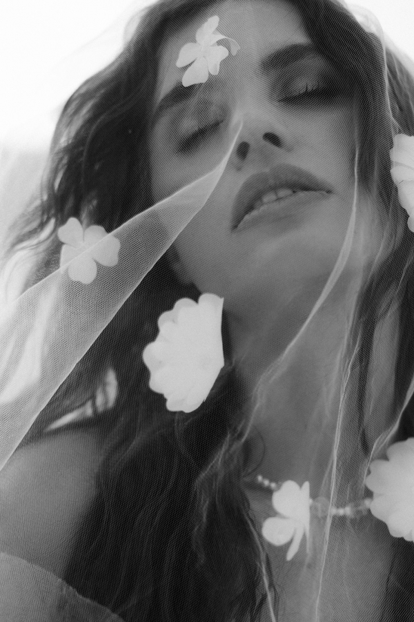 Photographers Sasha Dove