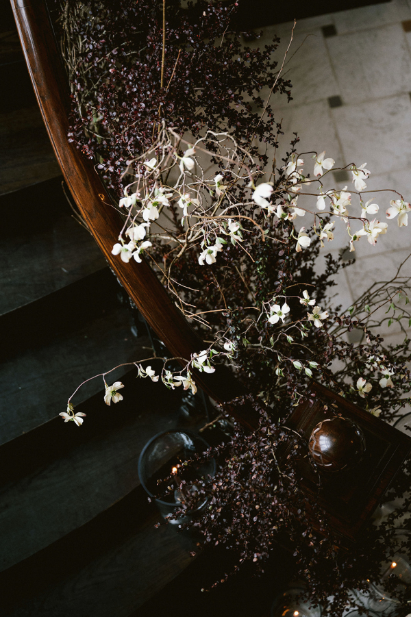 Photographers Mary Shelton