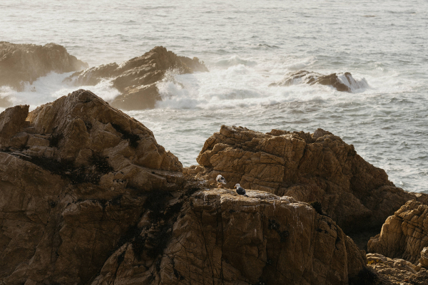 Photographers Alyssa Vanzo