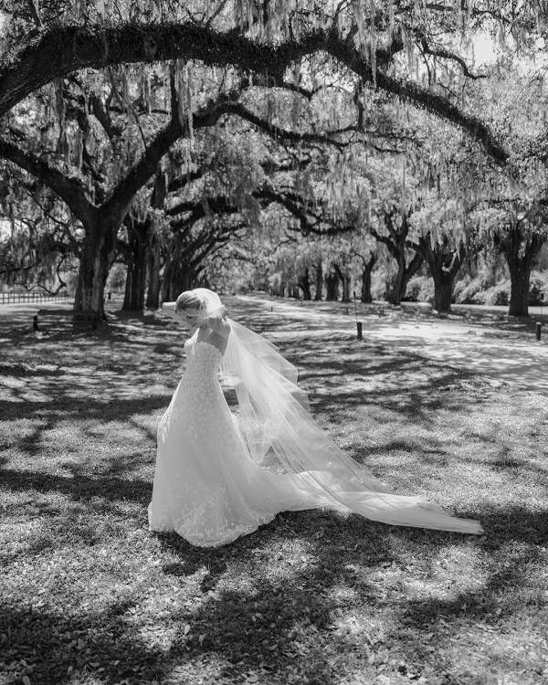 Behind the Camera: The Artistry of Julia Wade