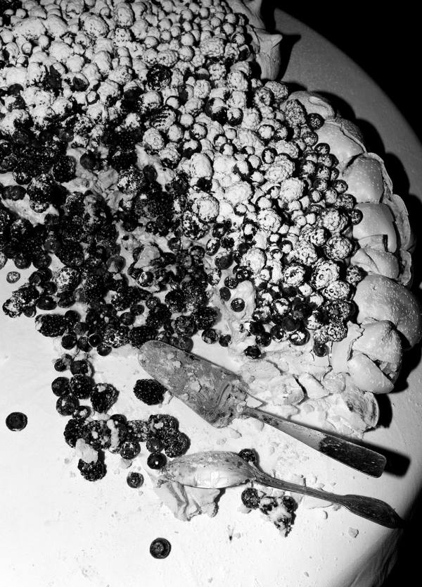 Cakes & Catering Citron Pavot