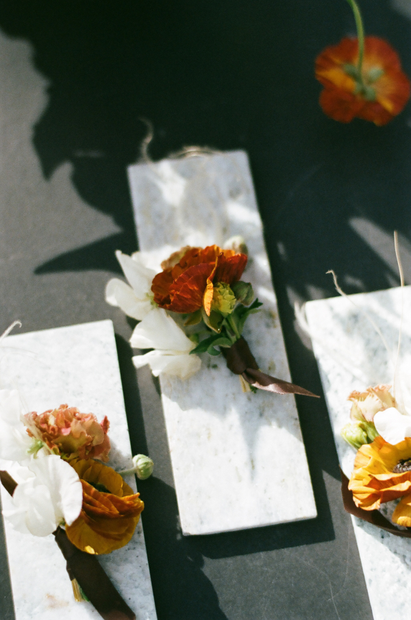 Vibrant Spring Celebration