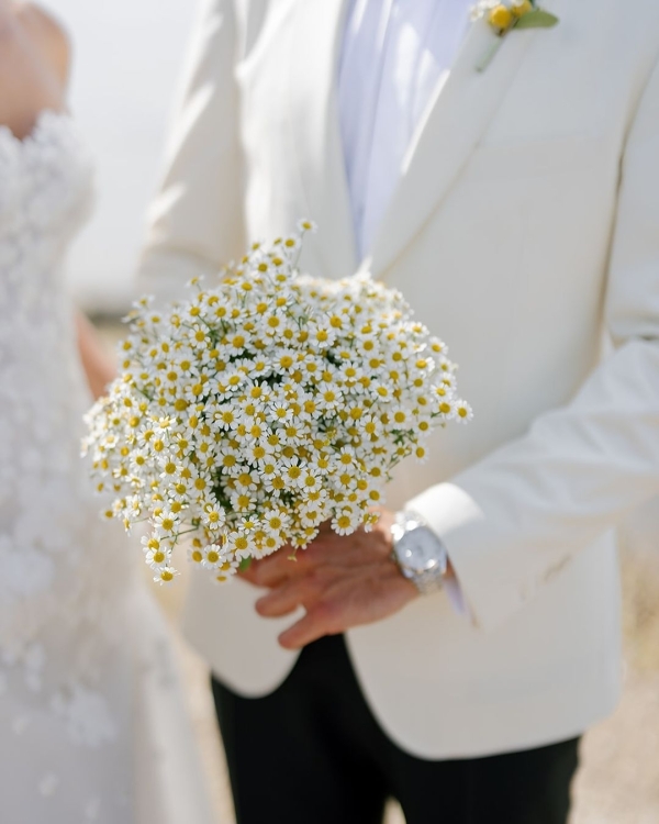 Behind the Camera: The Artistry of Julia Wade