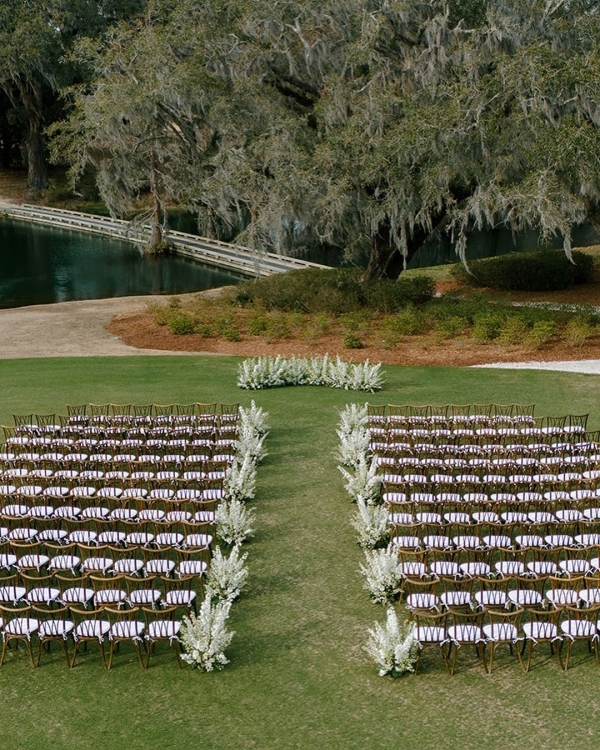 Behind the Camera: The Artistry of Julia Wade