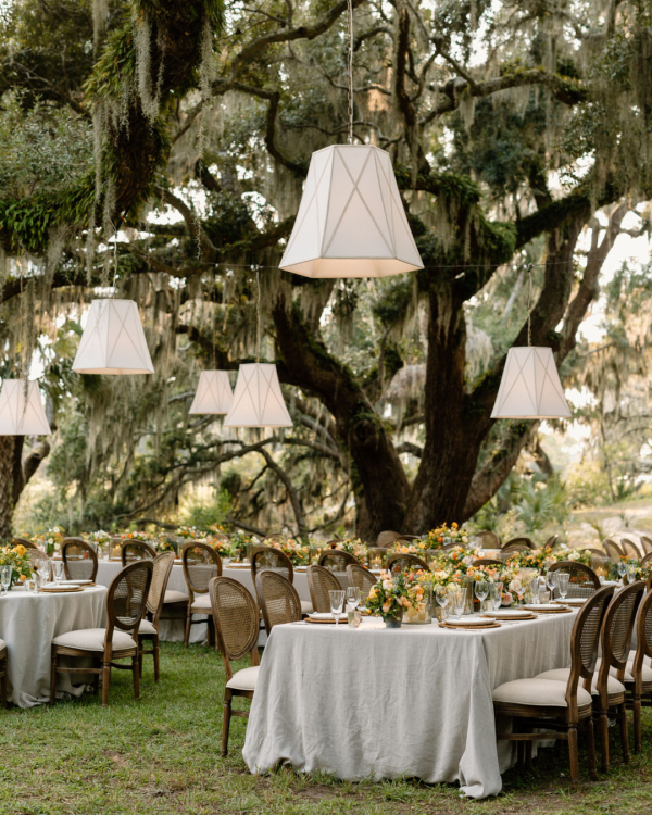 Behind the Camera: The Artistry of Julia Wade