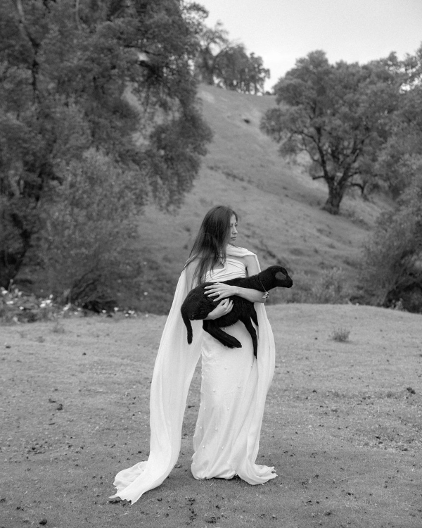 Whispers in the Mist: A Pre-Wedding Tale