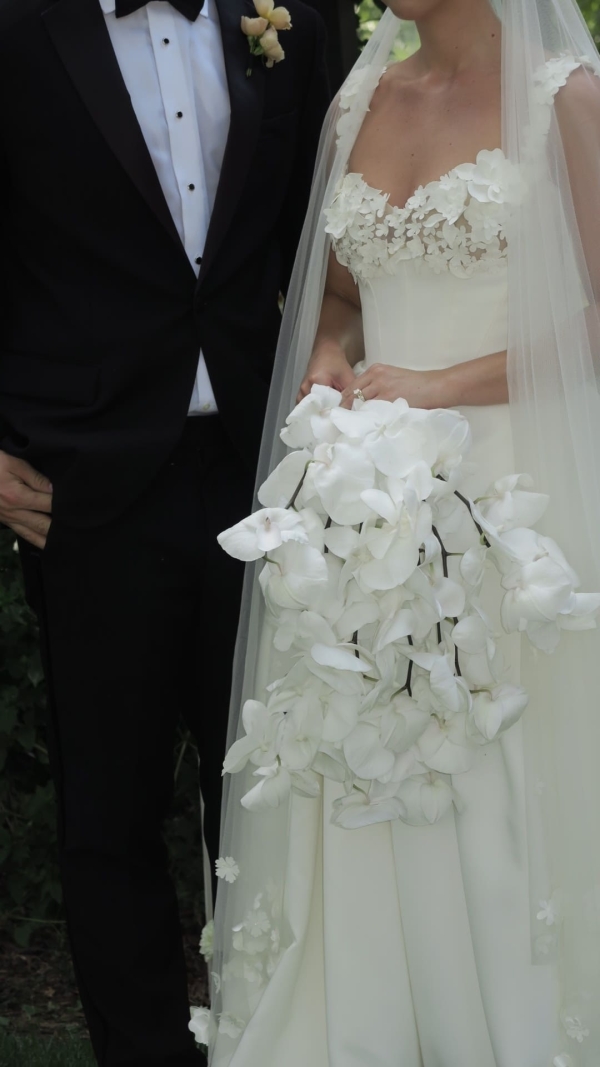 Content Creators Dreamy Content