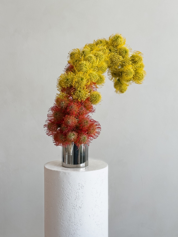 Florists The Flowerslinger