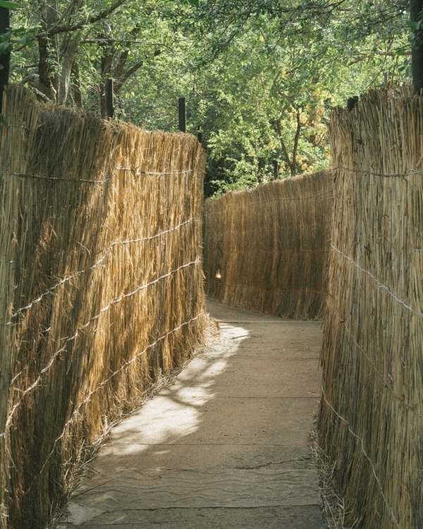 A Soulful African Destination Wedding in Zambia with Roaming Wildlife & a Luxury 1920s Steam Train
