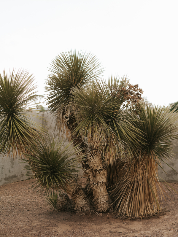 Planners Kiran + Leigh