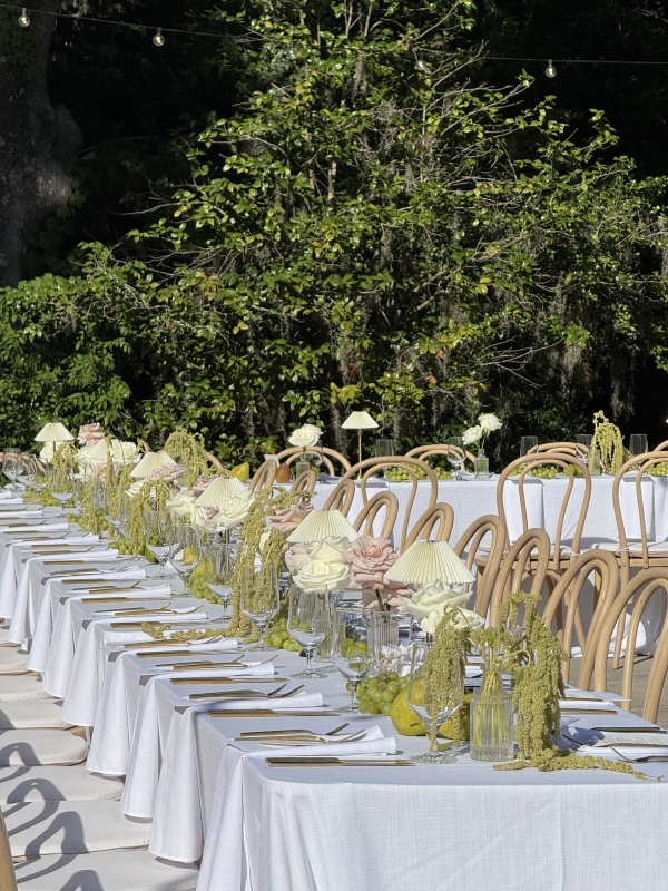 Content Creators Dreamy Content