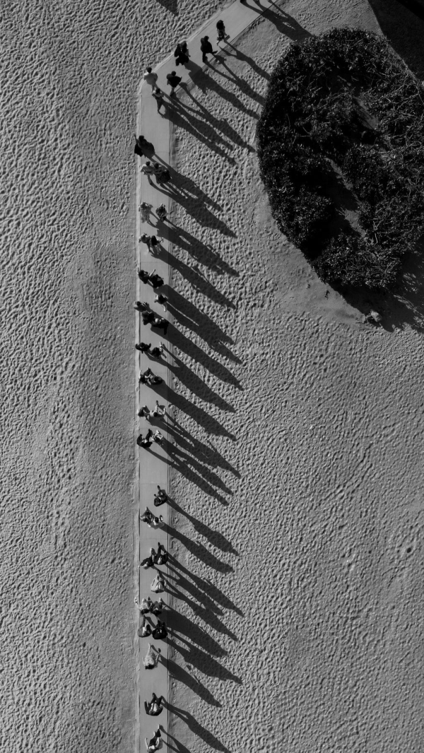 Planners Alison Rose Events