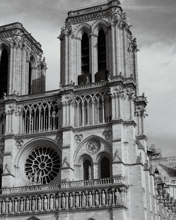 In Conversaton: Les Fleur Studio