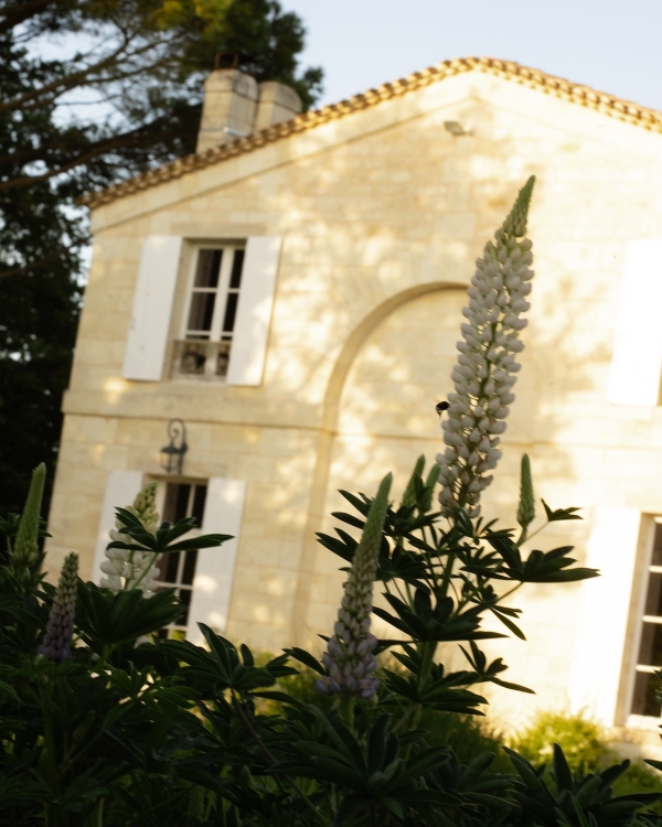A Dreamy Château Wedding Where French Romance Meets Lebanese Tradition