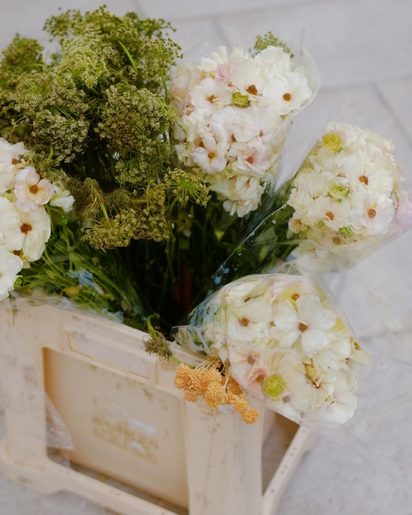 In Conversation: Clara Santa Isabel