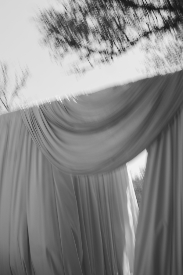 Planners Mille Papillons