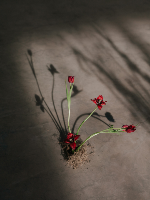 Planners Kiran + Leigh