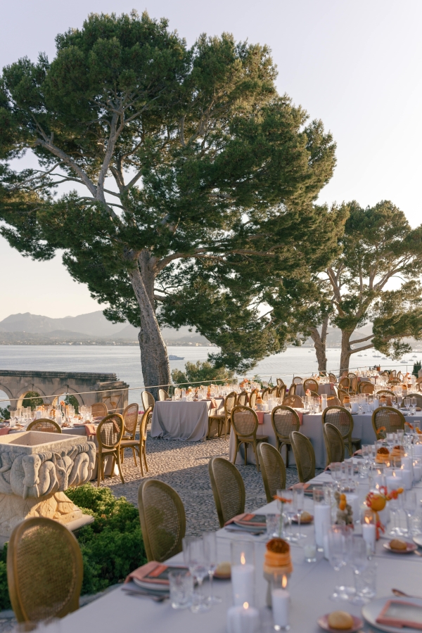 Planners Mille Papillons