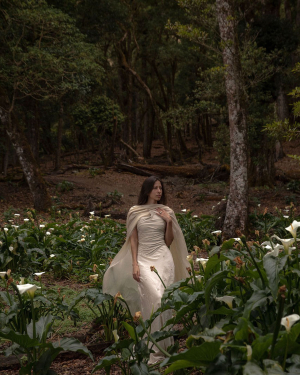 Whispers in the Mist: A Pre-Wedding Tale