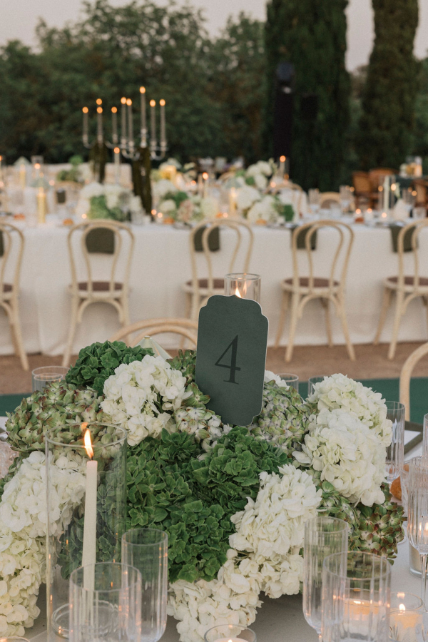 Planners Mille Papillons