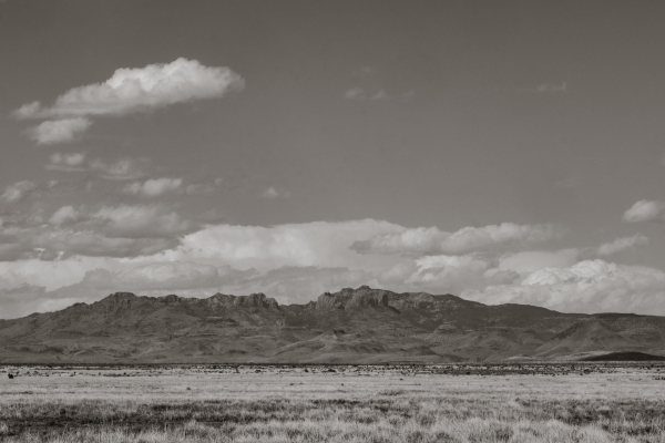 Planners Kiran + Leigh