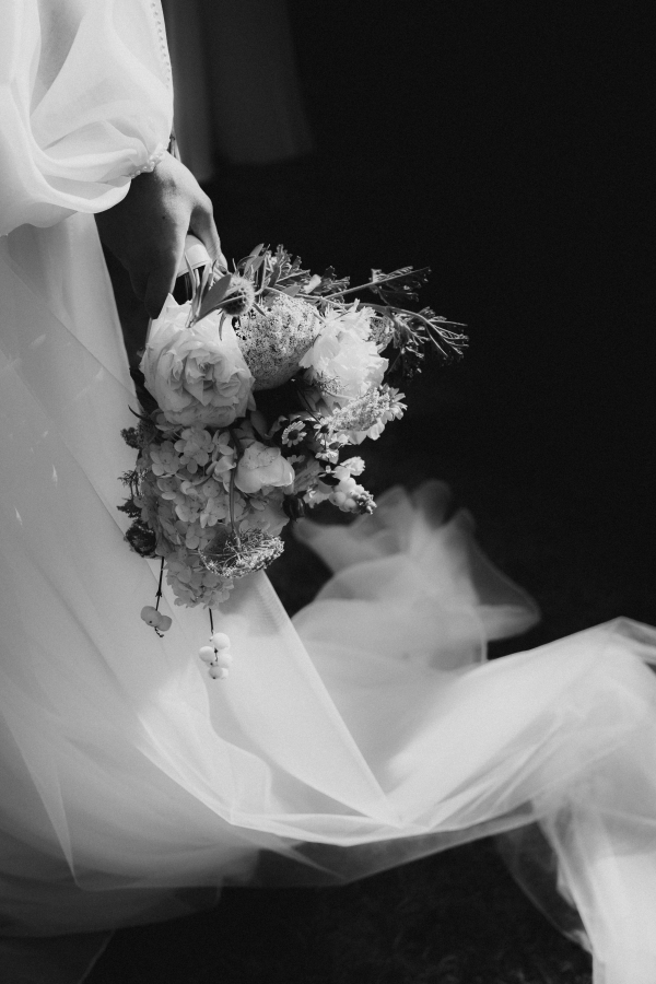 Photographers The New Old