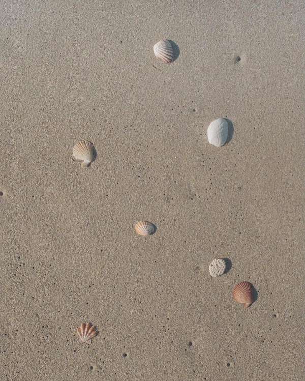 Top 5 Meditation Apps | Best Relaxation, Mindfulness Apps on iPhone and Android