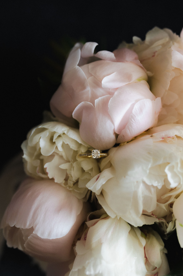 Photographers The New Old