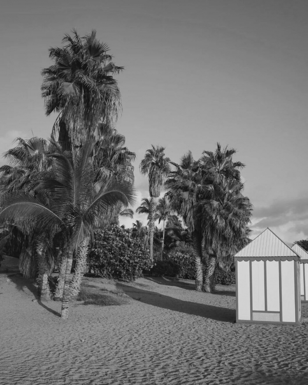 5 Best Winter Beach Destinations | Beach Trips, Vacantion in December, January, February