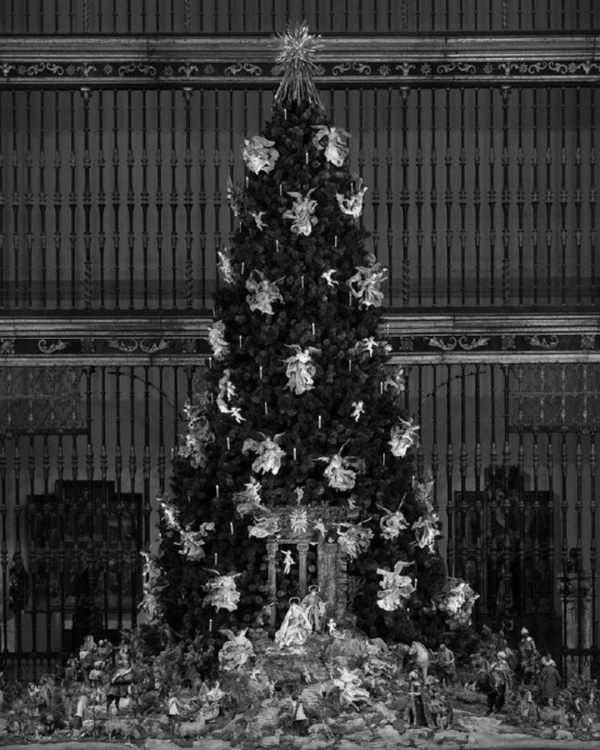 How to Spend Christmas Holidays in NYC