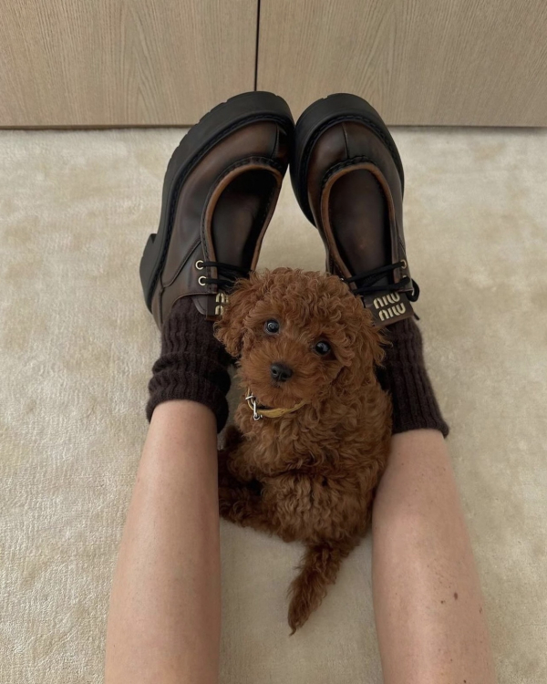 2024 Color of the Year | What is the Lucky Color of the Year | Trands Fashon