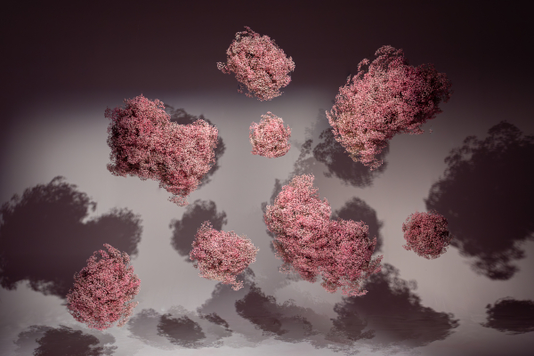 Planners Halcyon Halcyon