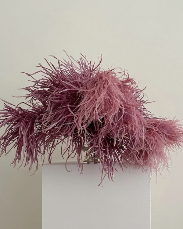 2024 Color of the Year | What is the Lucky Color of the Year | Trands Fashon