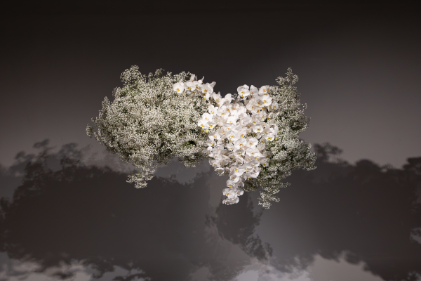 Planners Halcyon Halcyon