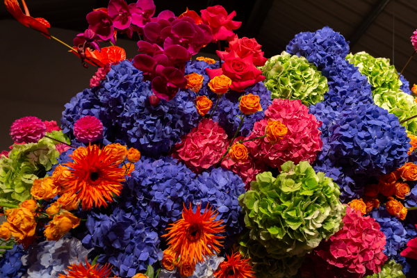 Florists Halcyon Halcyon