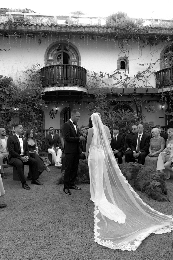 Photographers Love Bears