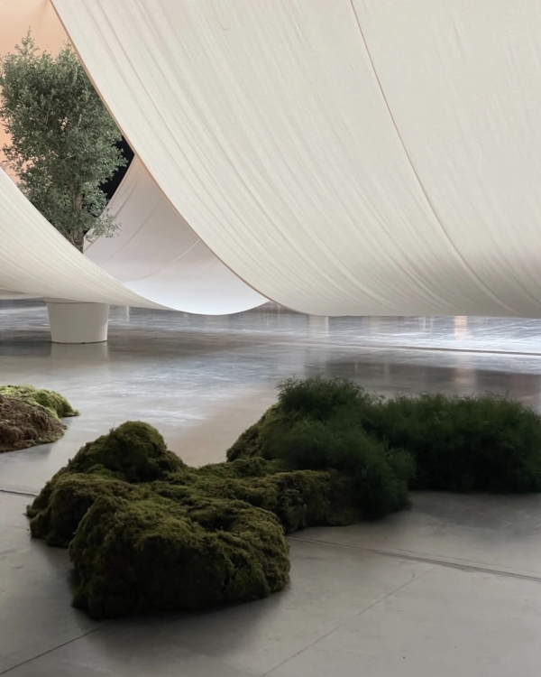 8 Expert Tips to Elevate Your Wedding Florals