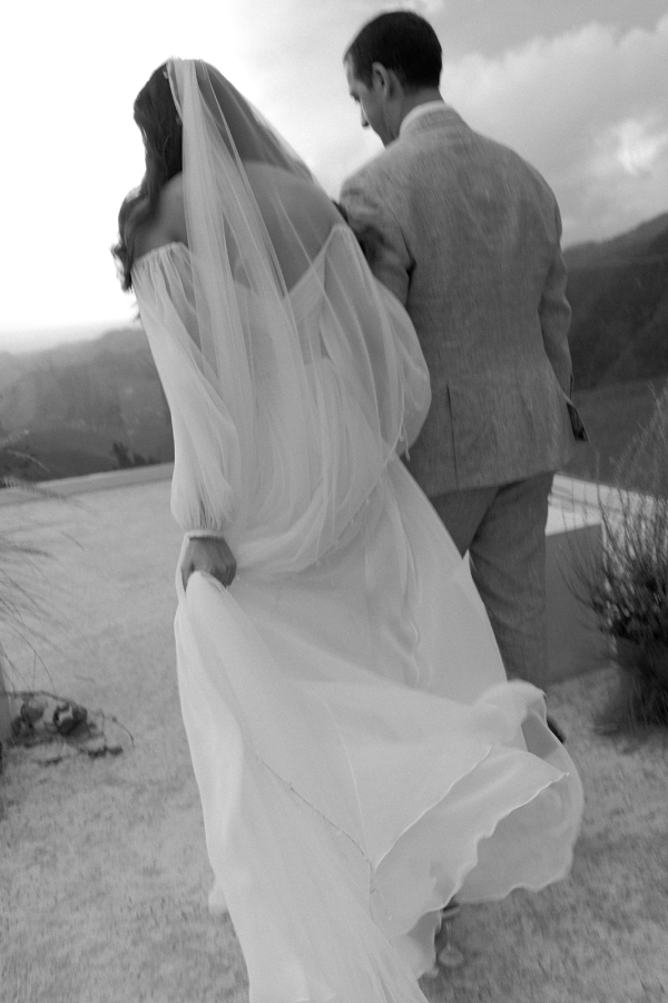 Photographers Love Bears