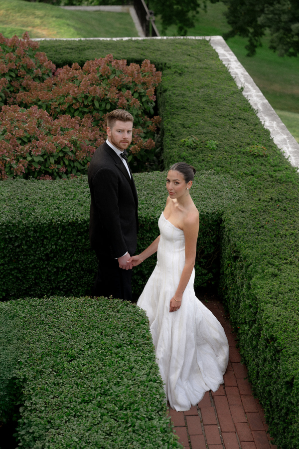 Photographers Love Bears