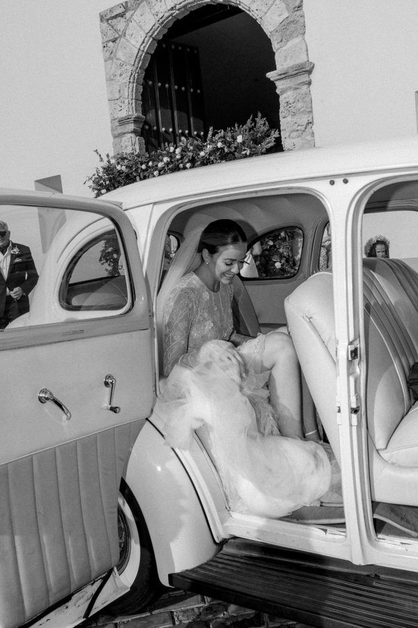 Photographers Love Bears