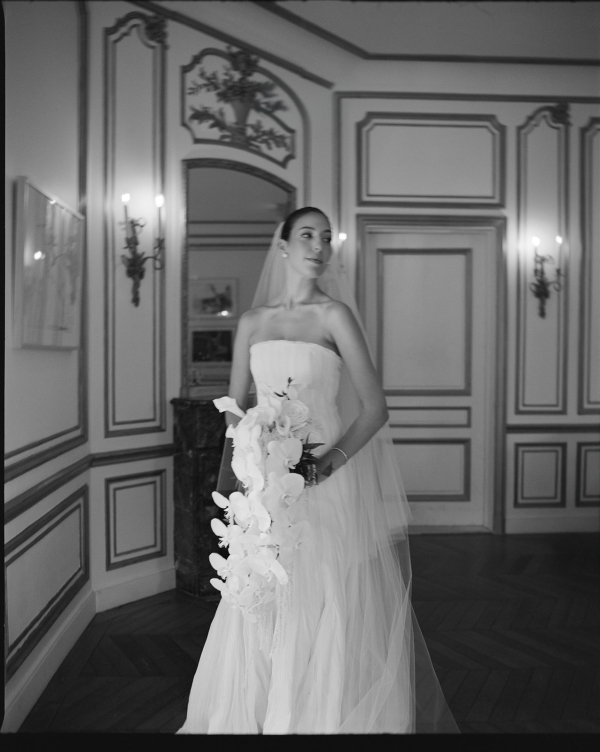 Photographers Love Bears