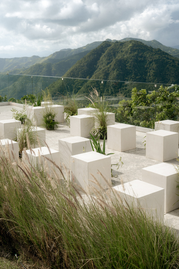 Photographers Love Bears