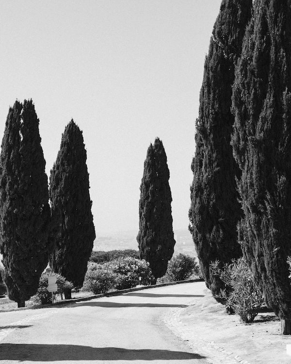 A Conscious & Vibrant Wedding Weekend in Lisbon