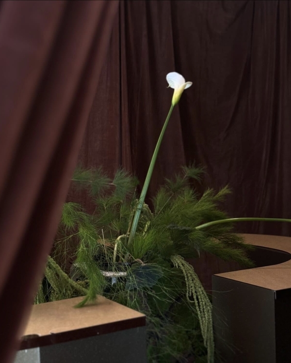 Infuse Your Next Event with Pantone's Color of the Year: Mocha Mousse