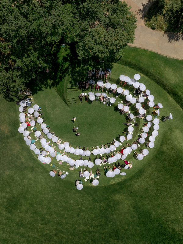 Photographers Love Bears