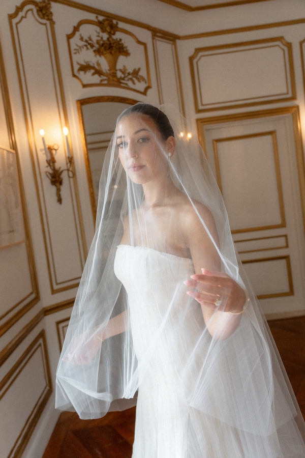 Photographers Love Bears