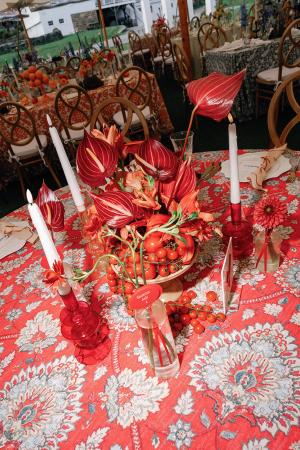 Photographers Amanda Young