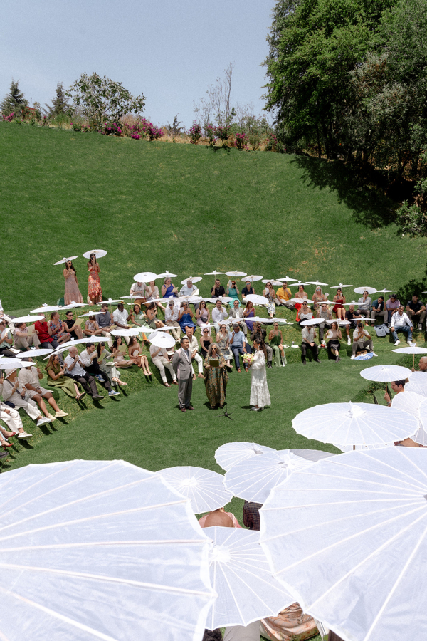 Photographers Love Bears