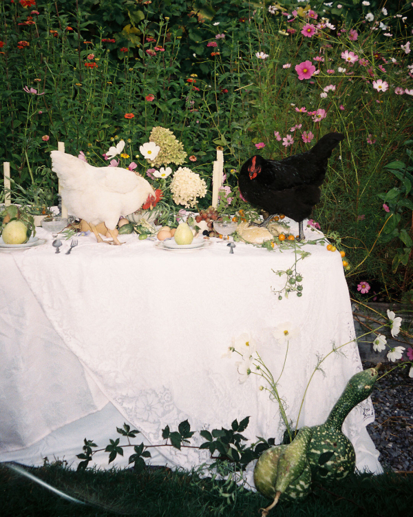 The Garden of Memories