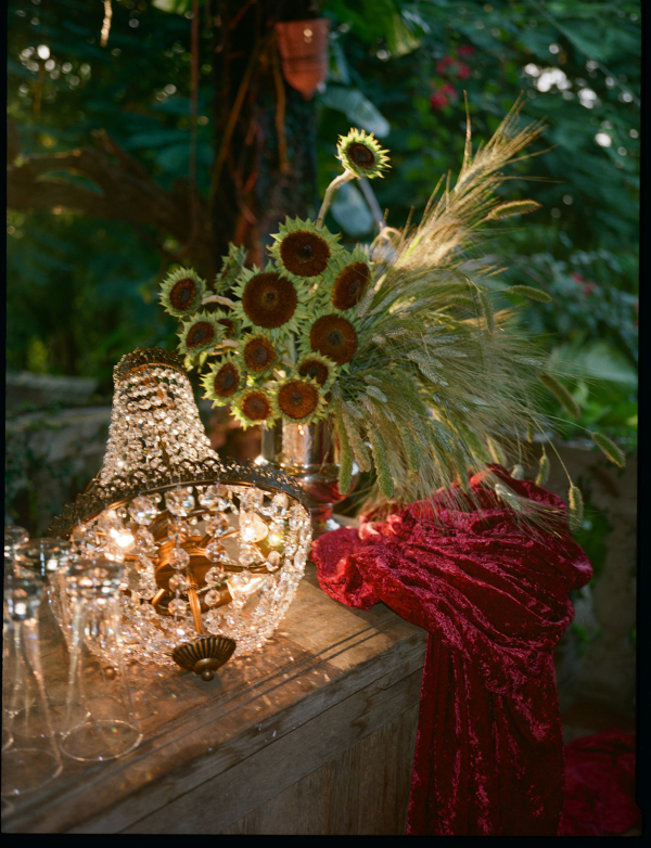 Photographers Love Bears